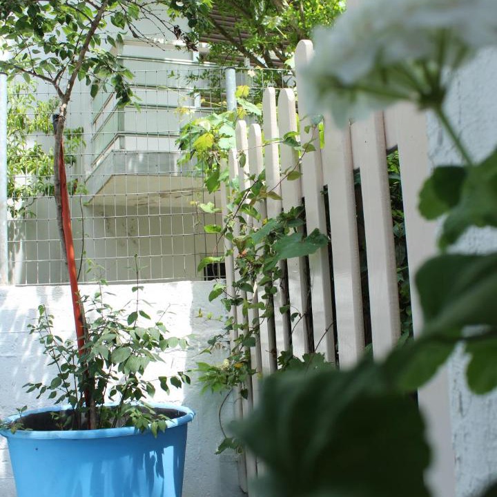 Photo of Others in Thasos Town