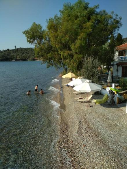 Photo of Others in Kalamos
