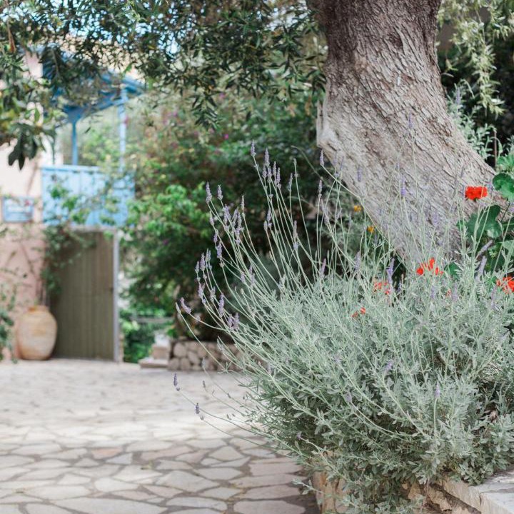 Photo of Others in Agios Nikitas