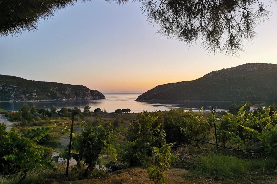 Photo of Outdoor in Porto Koufo