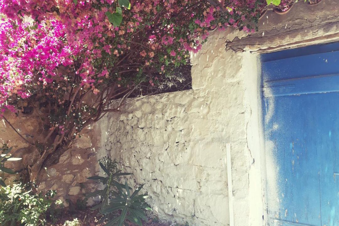 Photo of Others in Kardamyli