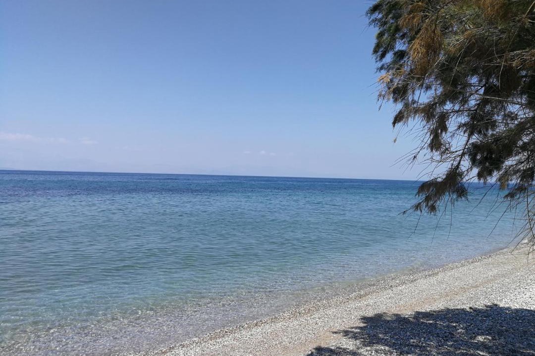 Photo of Others in Diakofto