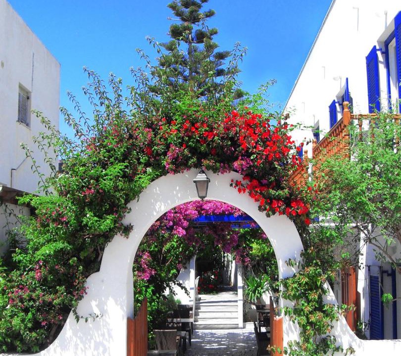 Photo of Others in Paros