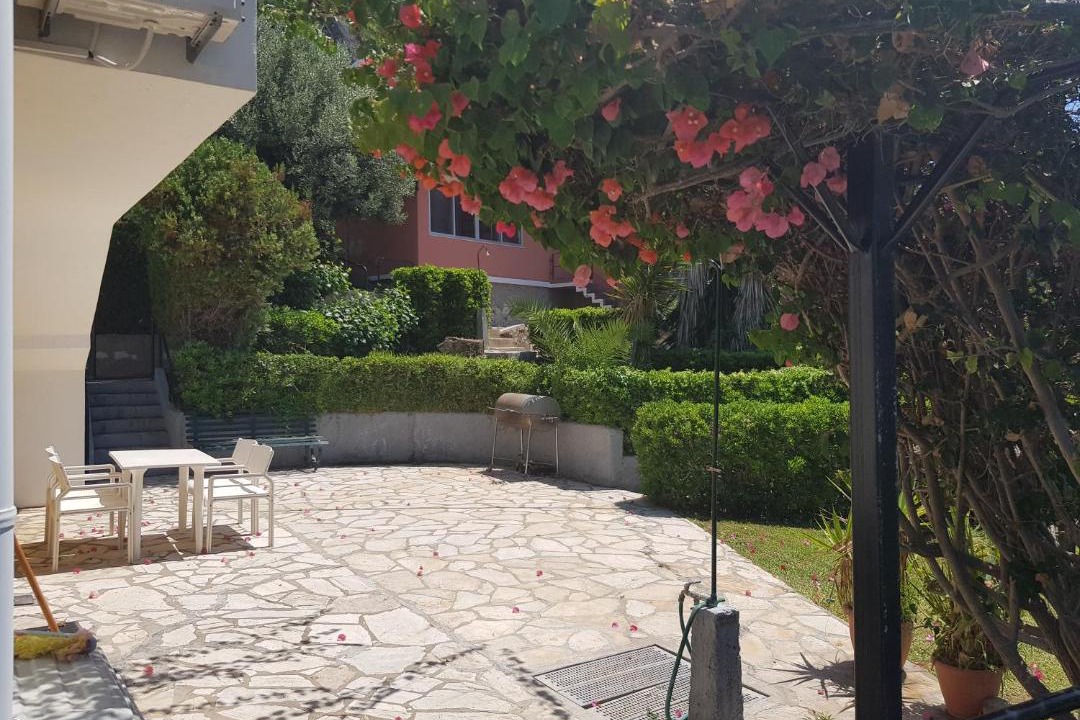 Photo of Others in Parelia