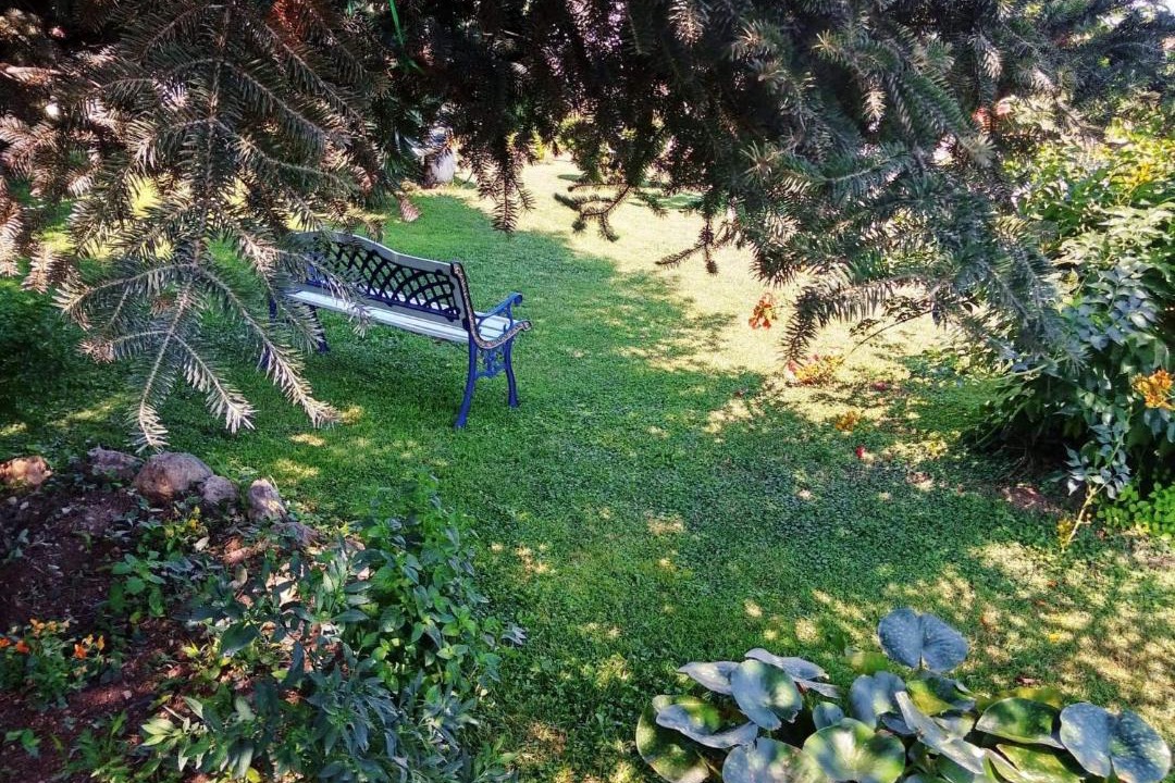 Photo of Others in Nemea