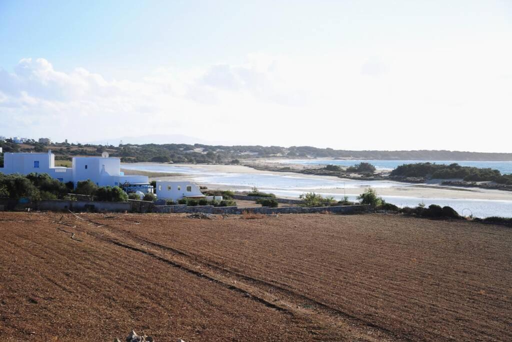 Photo of Others in Naxos