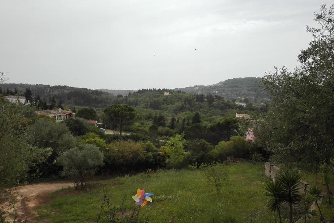 Photo of Others in Pelekas