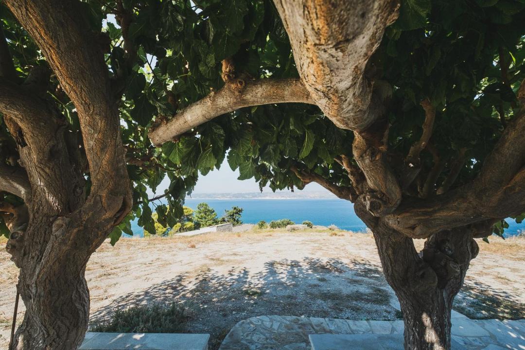 Photo of Outdoor in Kalyves