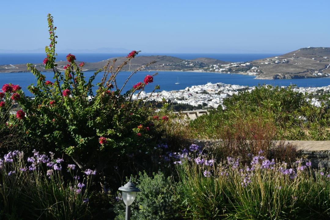 Photo of Others in Paros