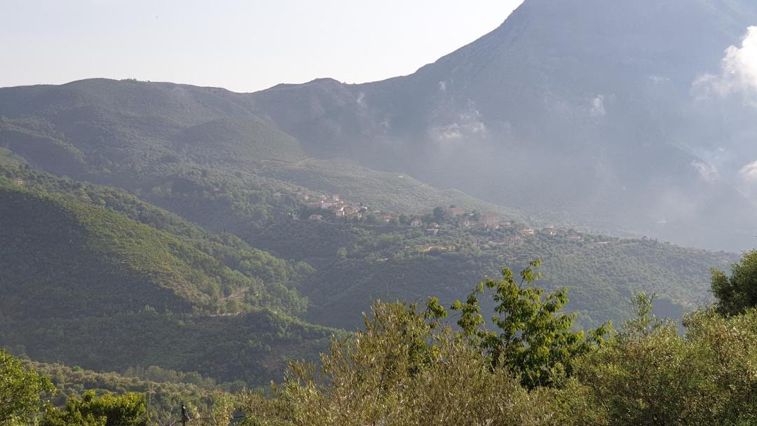Photo of Others in Alagonia
