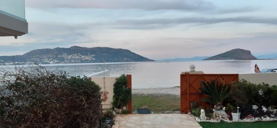 Photo of Others in Porto Rafti