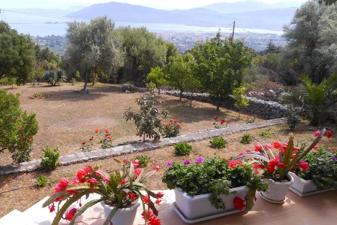 Photo of Others in Lefkada