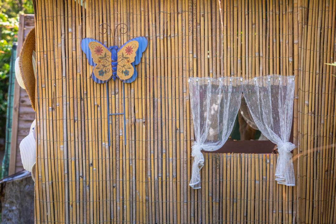 Photo of Others in Ialyssos
