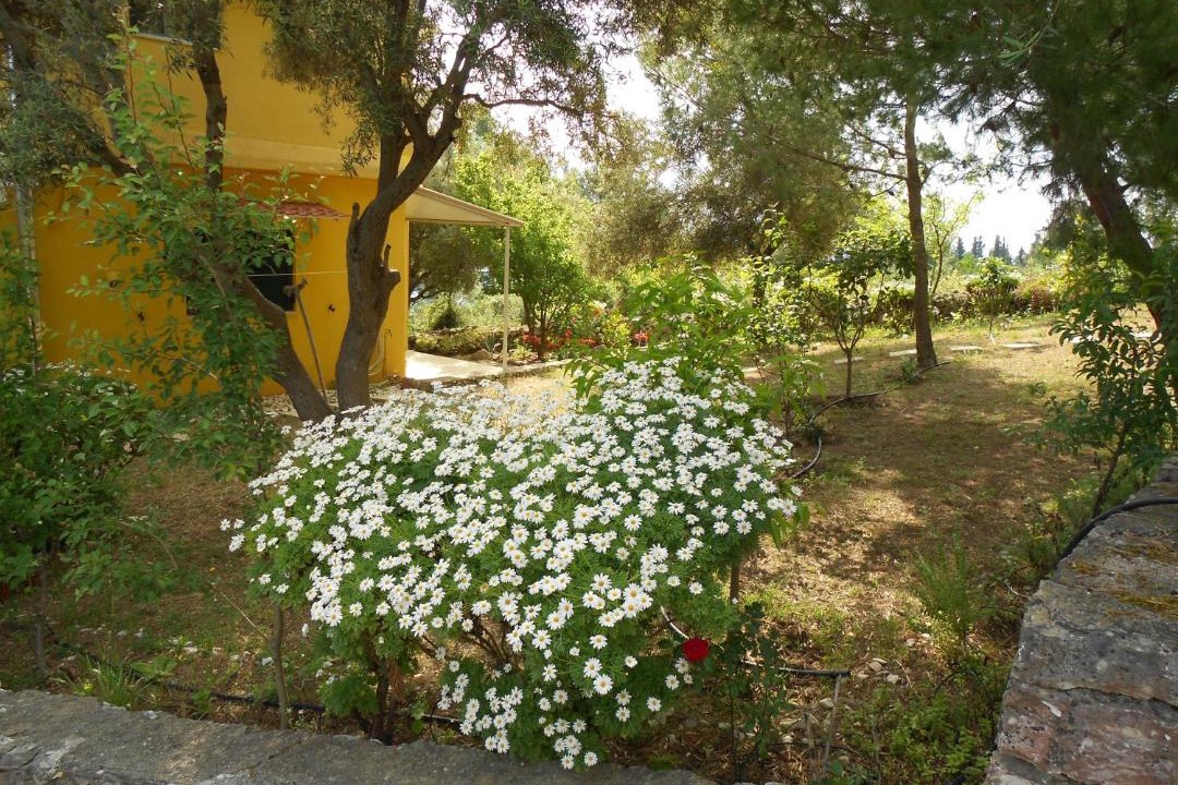 Photo of Others in Lefkada