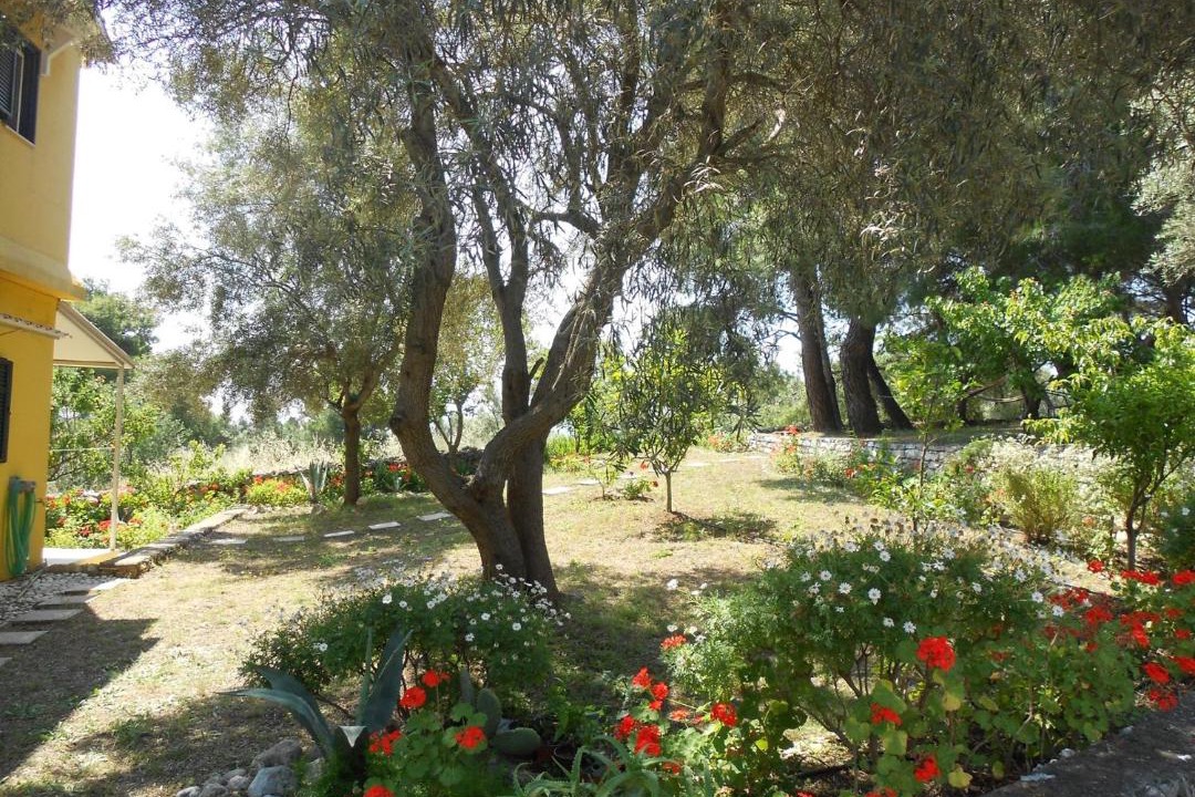 Photo of Others in Lefkada