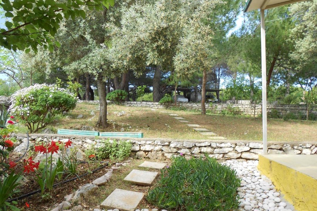 Photo of Others in Lefkada