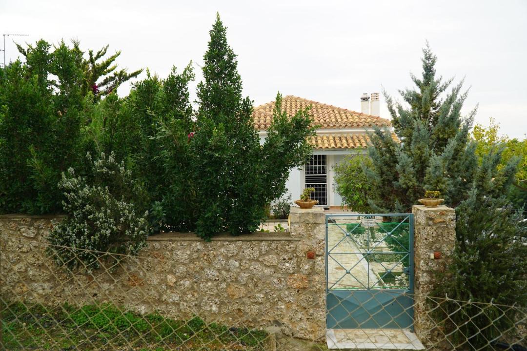 Photo of Others in Kilada