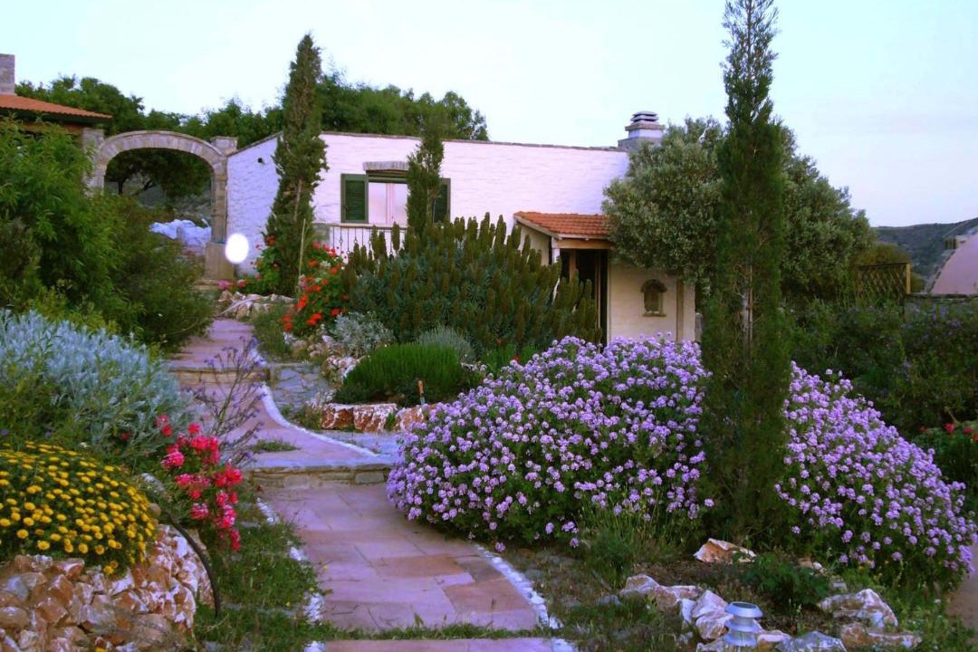 Photo of Others in Paros