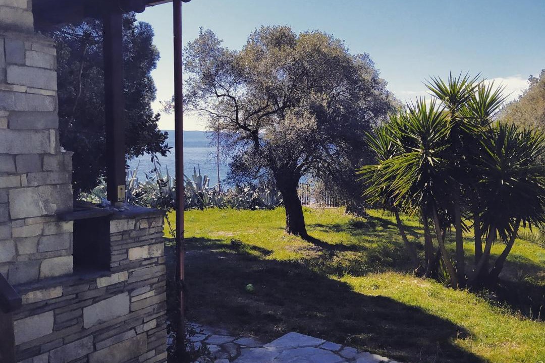 Photo of Others in Aristotelis