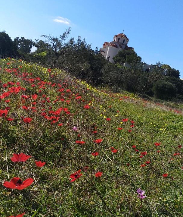 Photo of Outdoor in Legrena