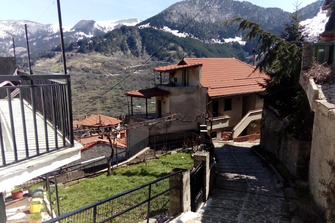 Photo of Others in Metsovo