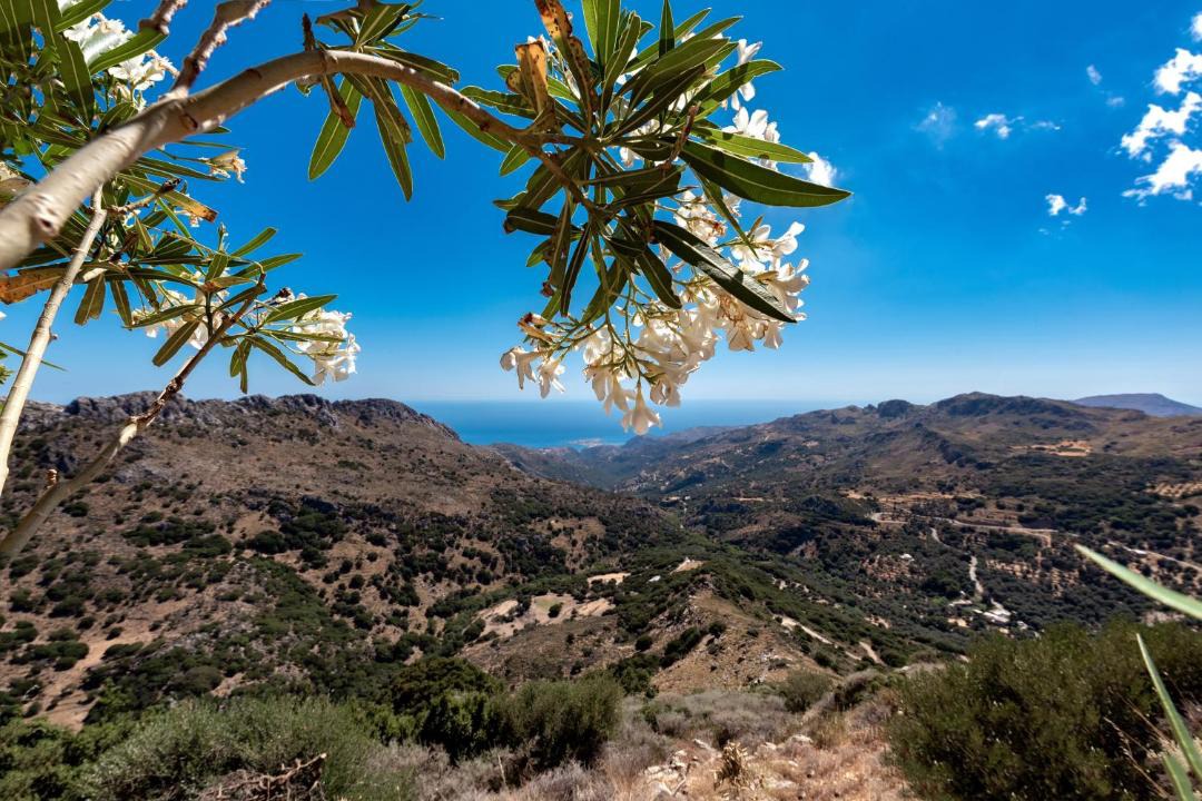 Photo of Outdoor in Stratoi