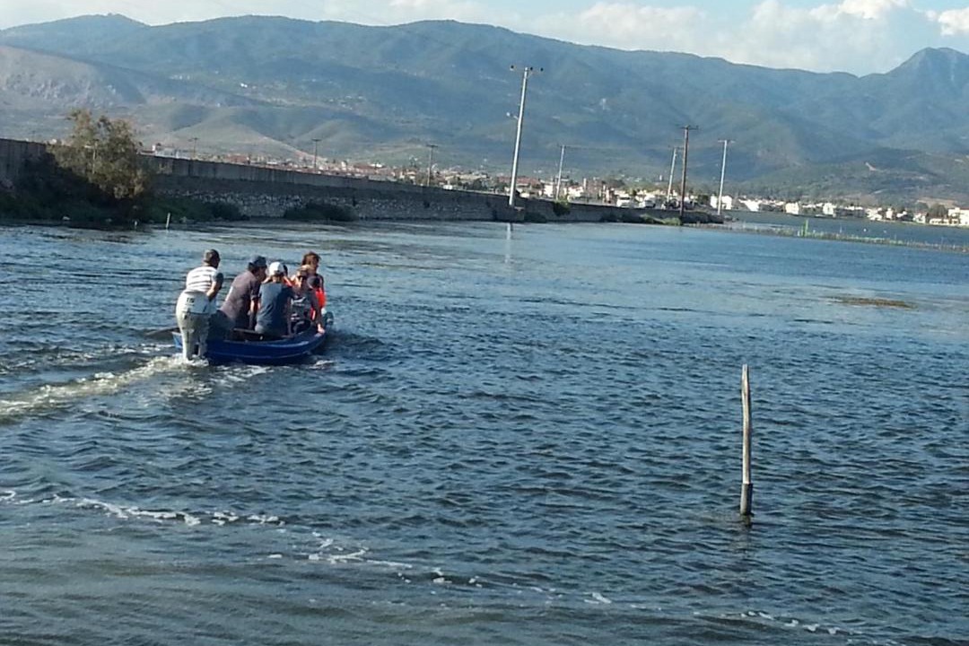 Photo of Others in Gefira Mpania