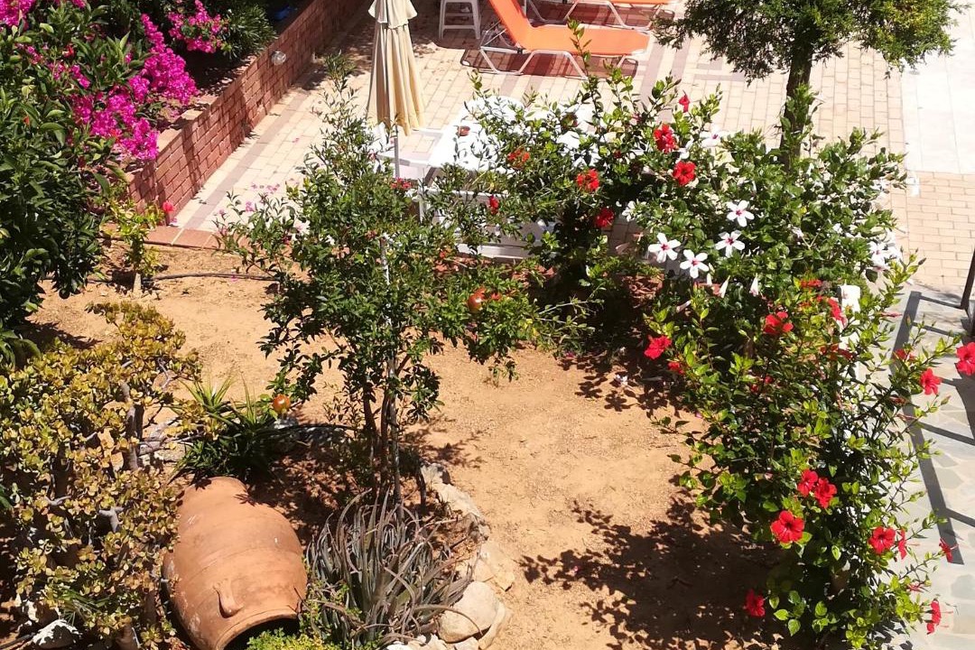 Photo of Patio Balcony in Kato Gouves