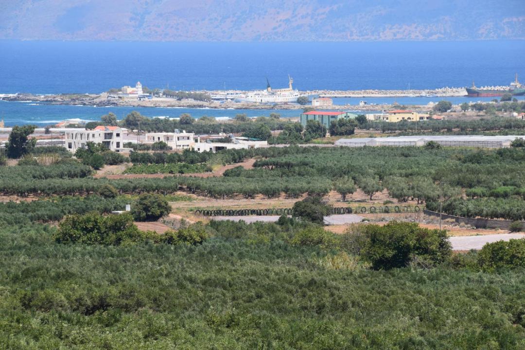 Photo of Others in Neo Chorio