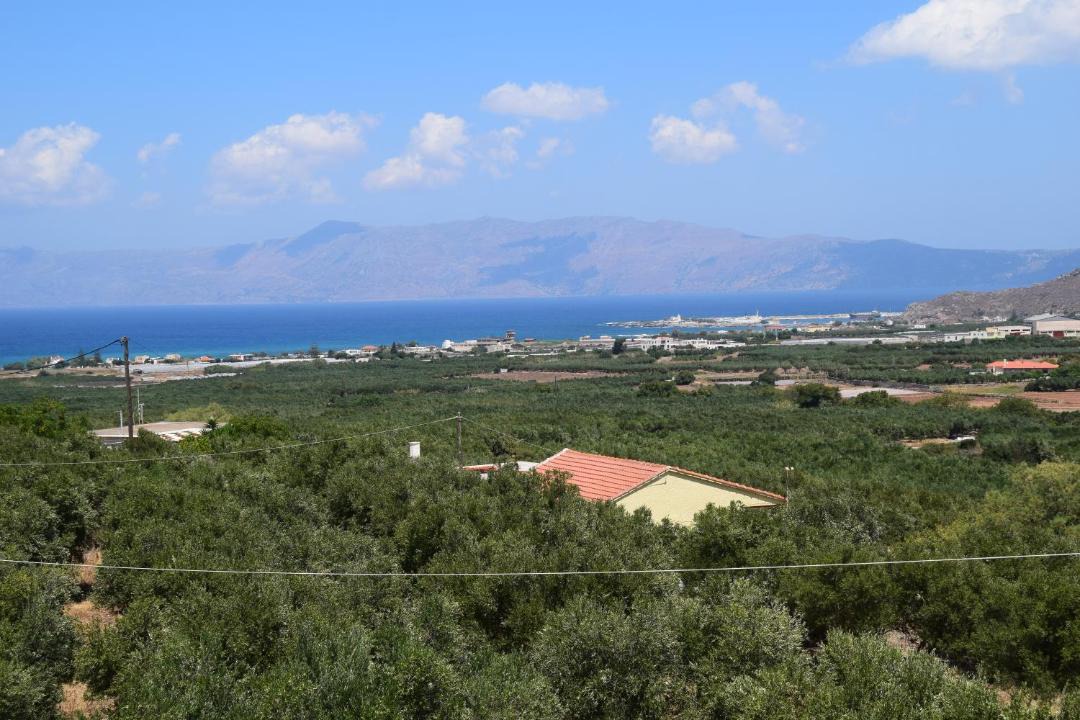 Photo of Others in Neo Chorio
