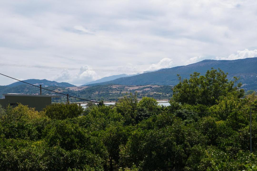 Photo of Others in Kalligoni