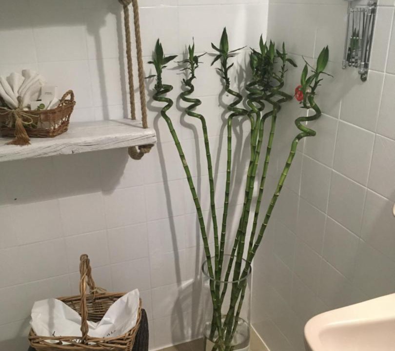 Photo of Bathroom in Kerveli