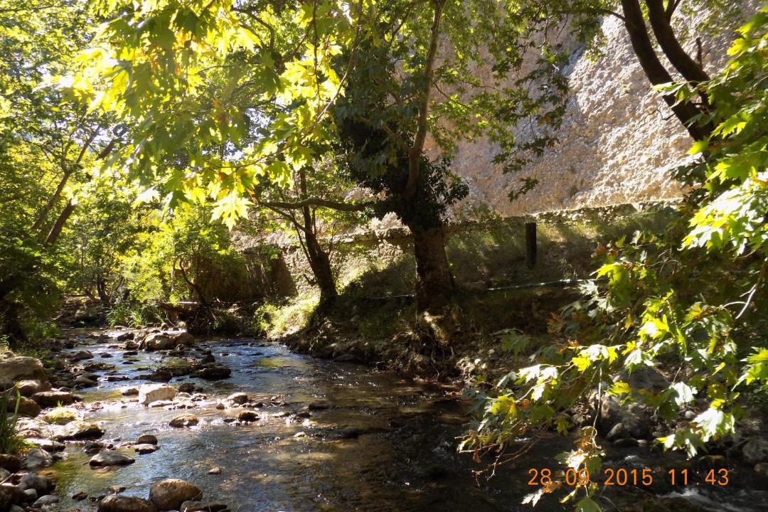 Photo of Others in Kalavrita