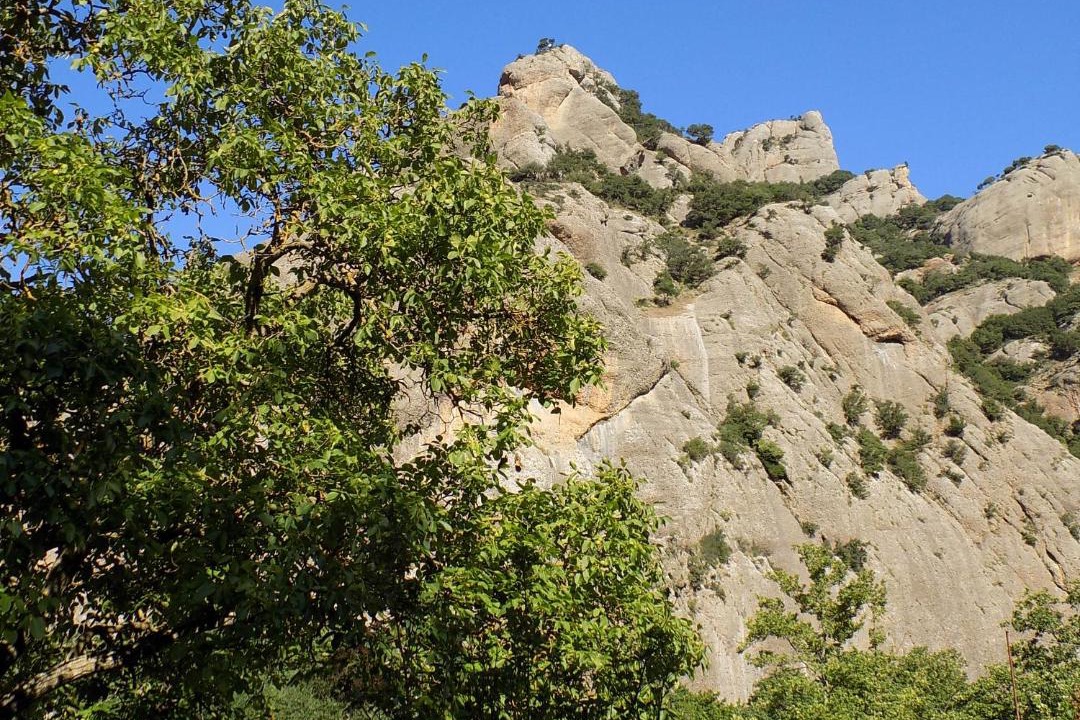 Photo of Outdoor in Kalavrita