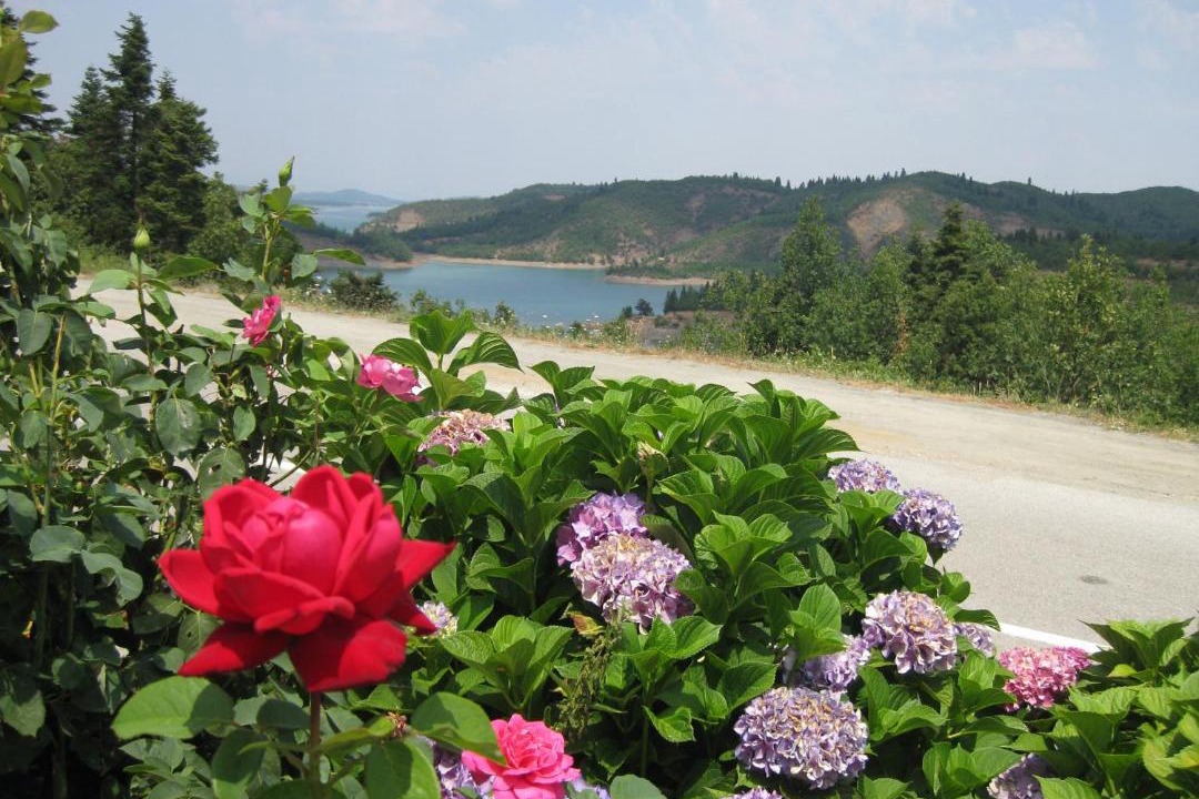 Photo of Outdoor in Moucha