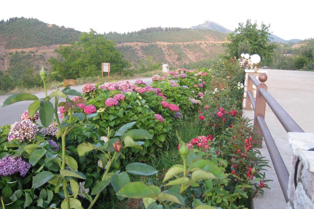 Photo of Others in Moucha