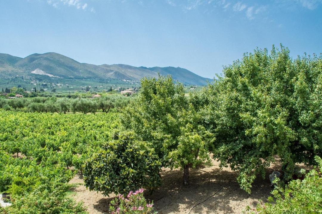 Photo of Outdoor in Fiolitis