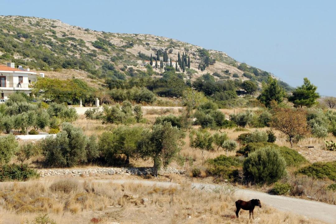 Photo of Others in Potokaki