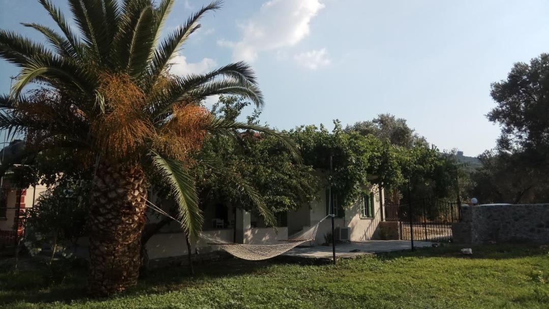 Photo of Others in Skala Mistegnon