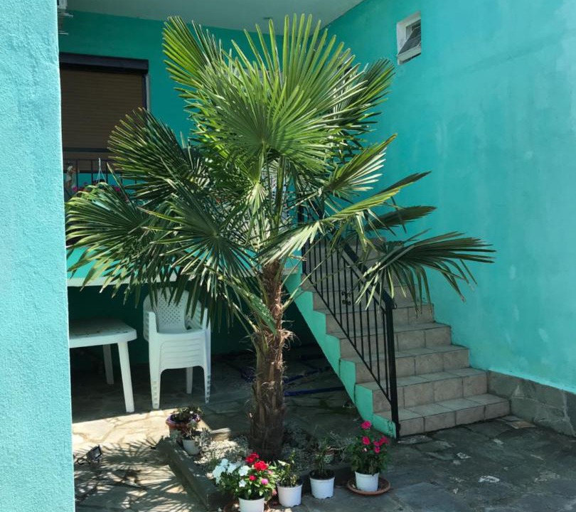 Photo of Others in Asprovalta
