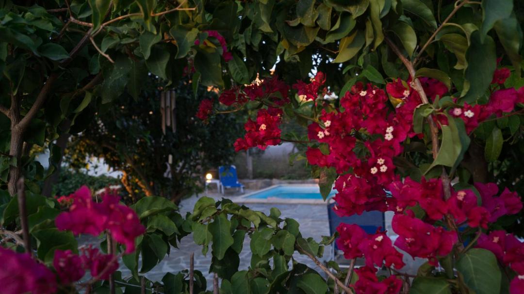 Photo of Outdoor in Maroulas