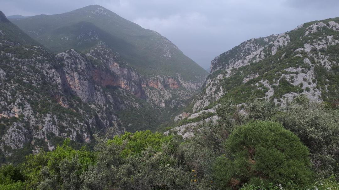 Photo of Outdoor in Artemisia