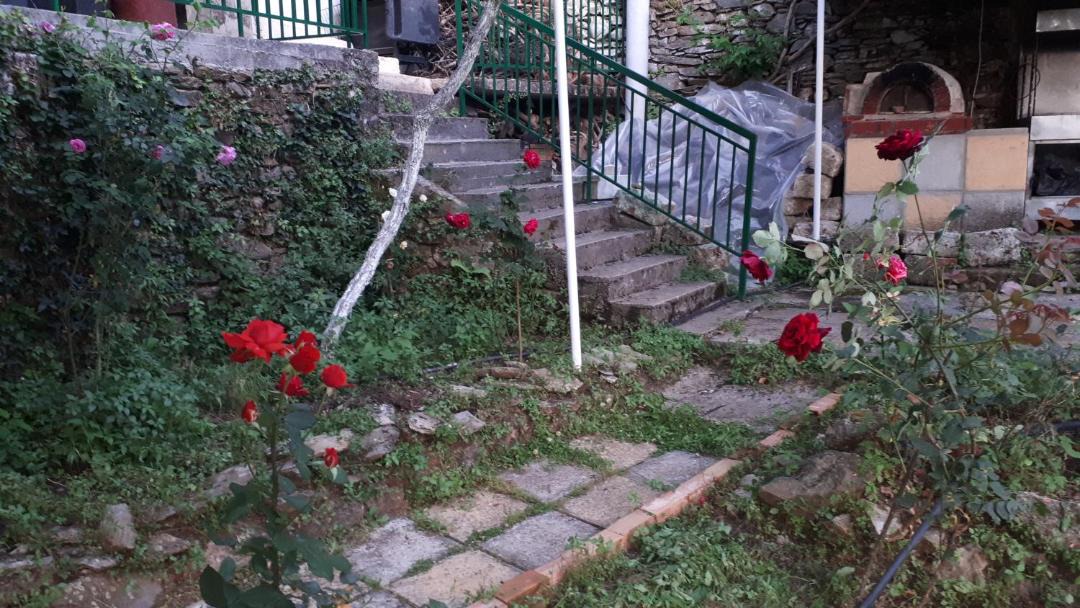 Photo of Buildings in Artemisia