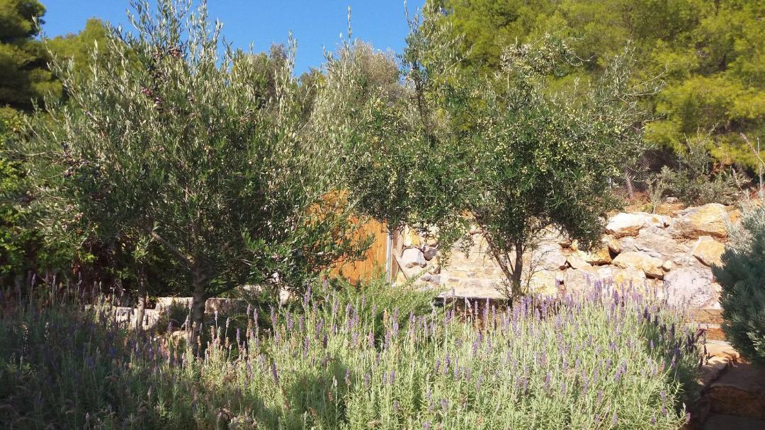 Photo of Outdoor in Nerotrivia