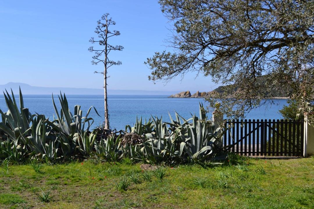 Photo of Others in Aristotelis