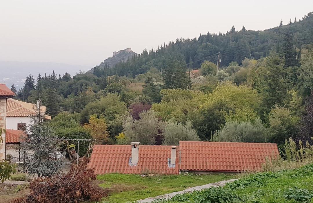 Photo of Others in Pikoulianika