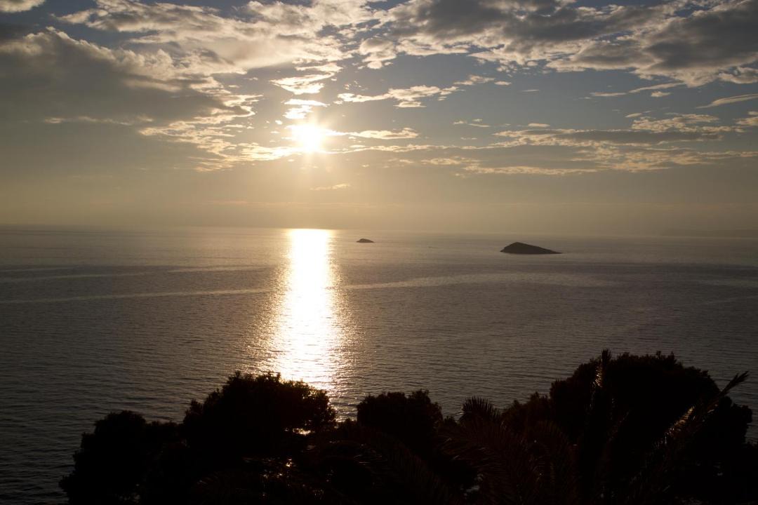 Photo of Others in Elios