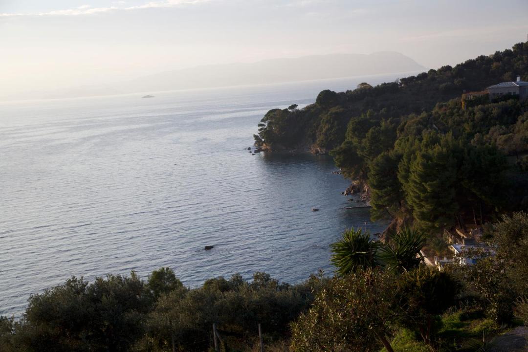 Photo of Others in Elios