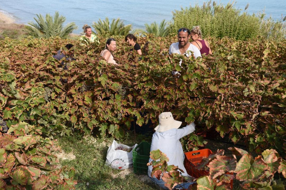 Photo of Others in Apokoronas
