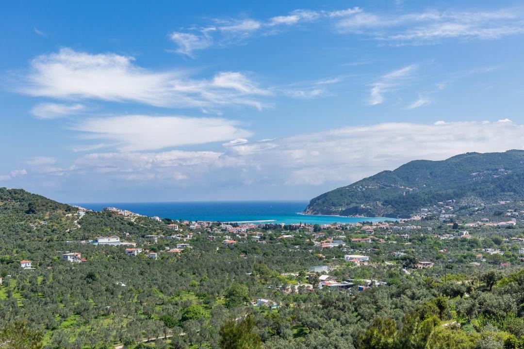 Photo of Others in Skopelos